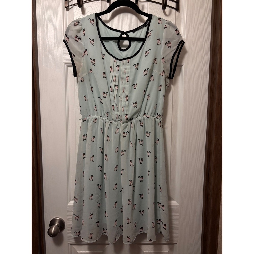 Doe & Rae Light Mint Green Cat Print Chiffon Fit & Flare Dress